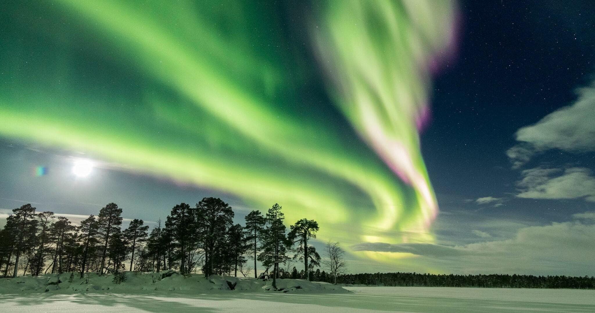Arctic Wildlife & Aurora Viewing at Aurora Camp