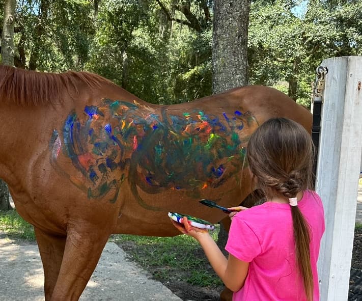 Equestrian Day Camps at Camelot Farms Equestrian Center