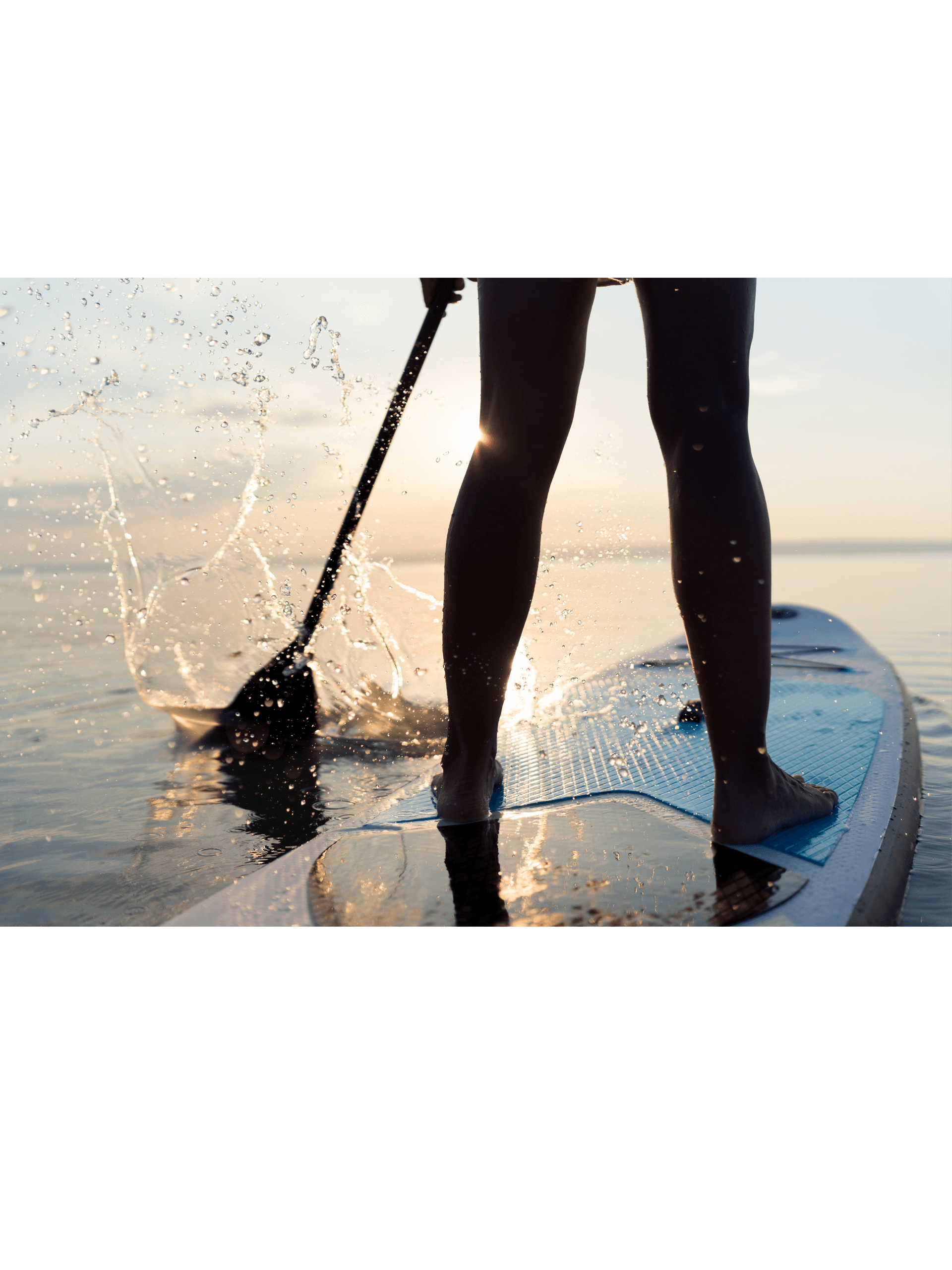 Explore Virginia Beach’s Back Bay on a Paddle Board Rental Adventure