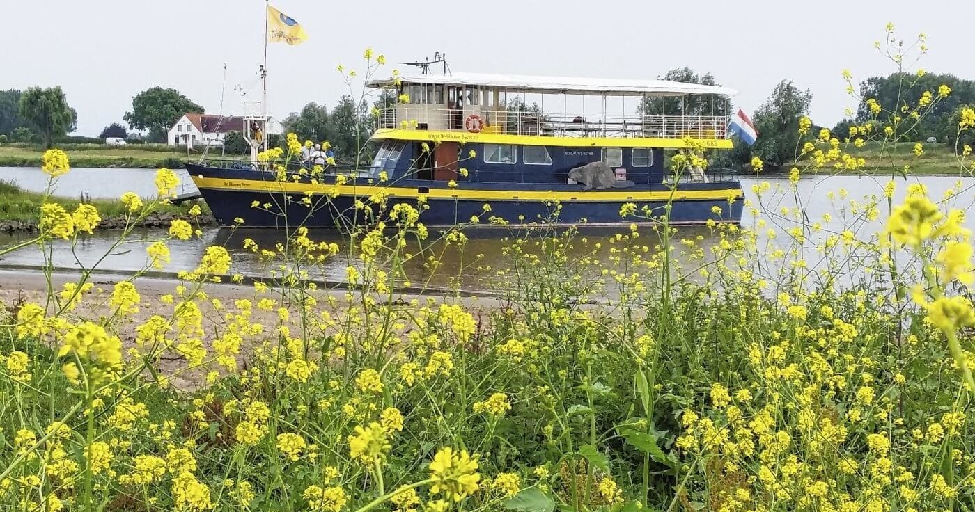 Family-Friendly Pirate Treasure Hunt Cruise on the Rhine from Rhenen