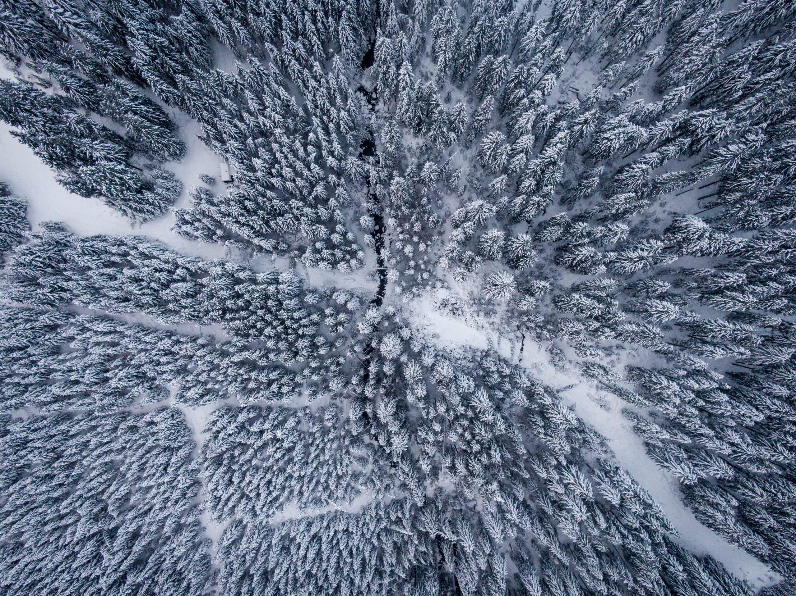 Snowmobile Adventure with Snowmobile JH Near Jackson Hole
