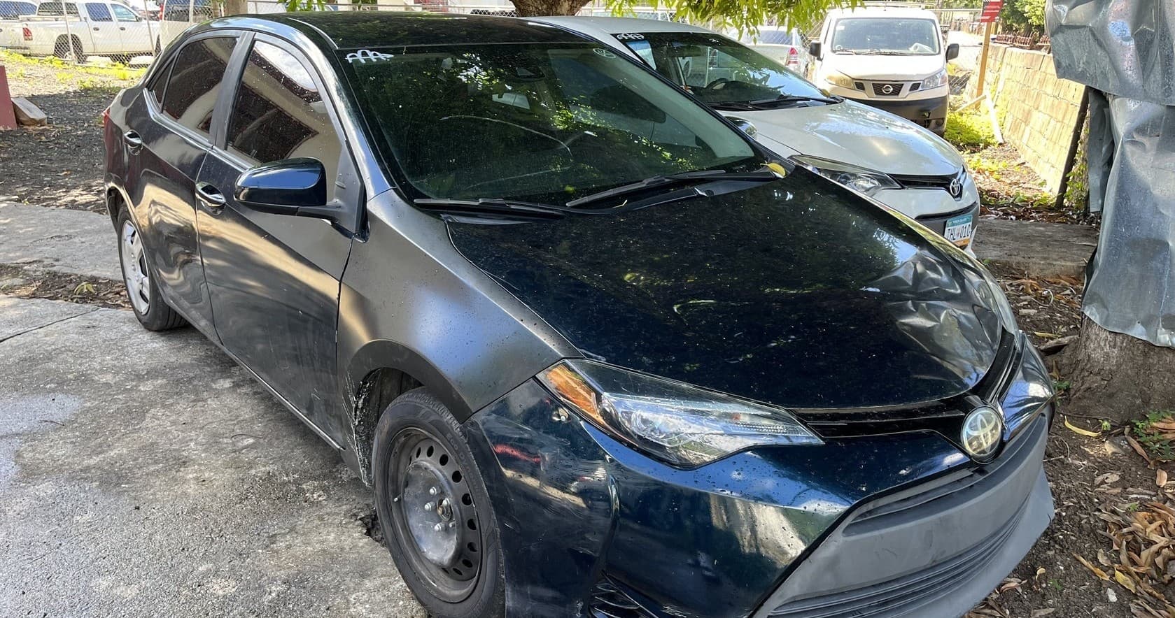 Black Toyota Corolla Rental in St. Thomas, U.S. Virgin Islands