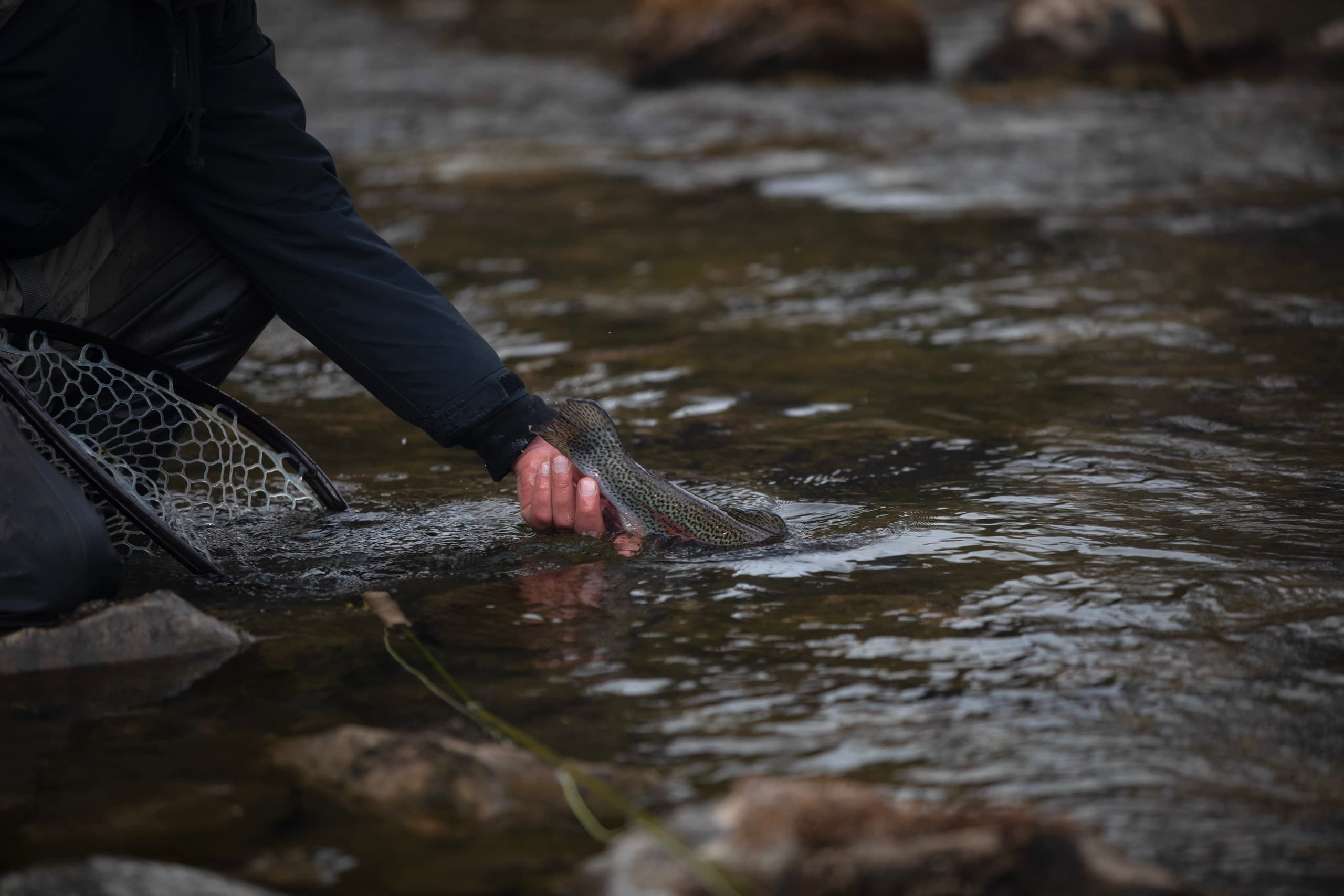 Half-Day Wade Trip on the San Juan River: A Fly Fishing Escape in New Mexico