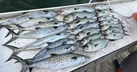 Full Day Nearshore Trolling off Beaufort, NC: Reel in Spanish Mackerel and More