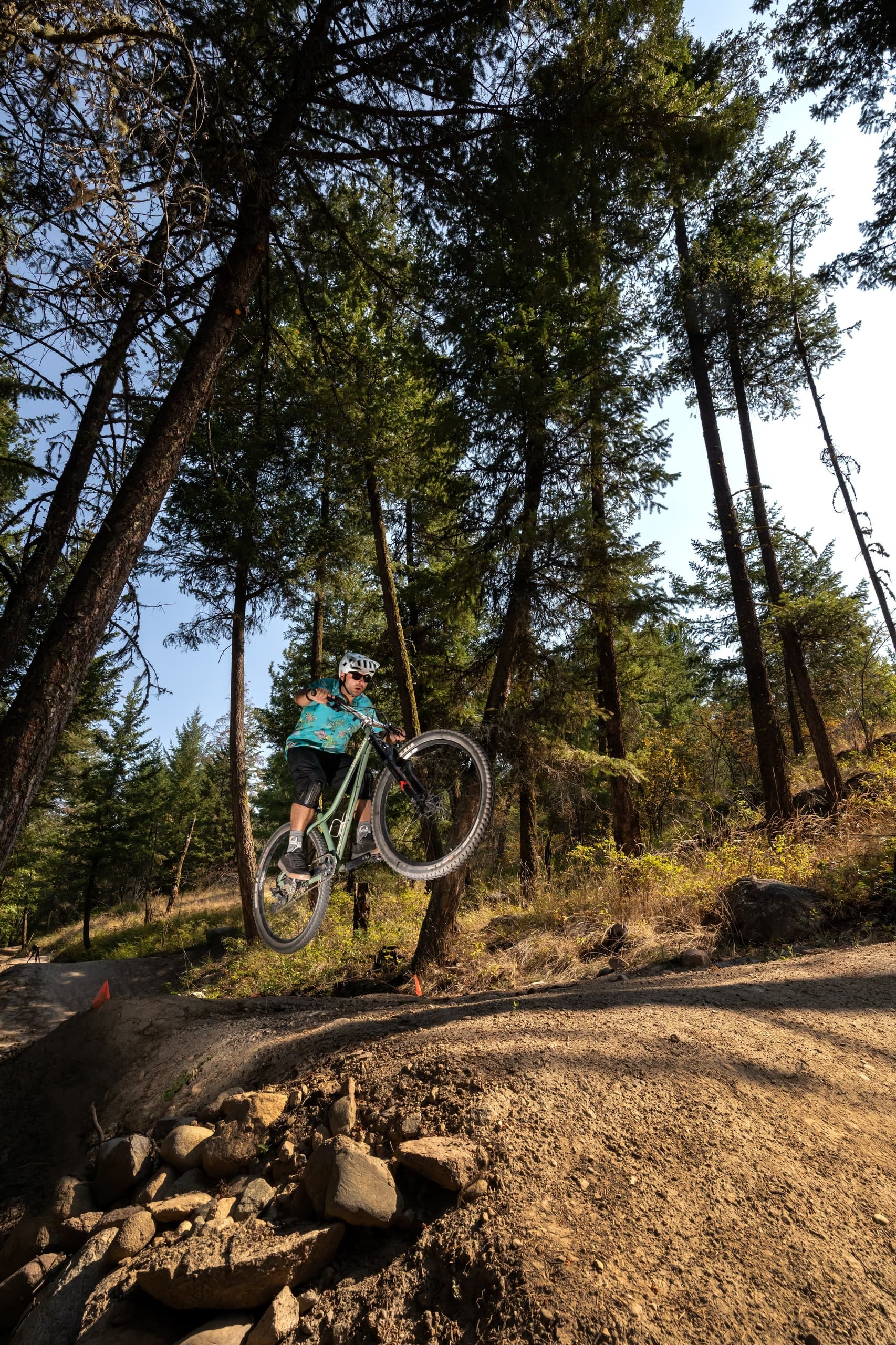 Predator Ridge Ridge-Line: Guided Technical Mountain Biking Above Okanagan Lake photo 3