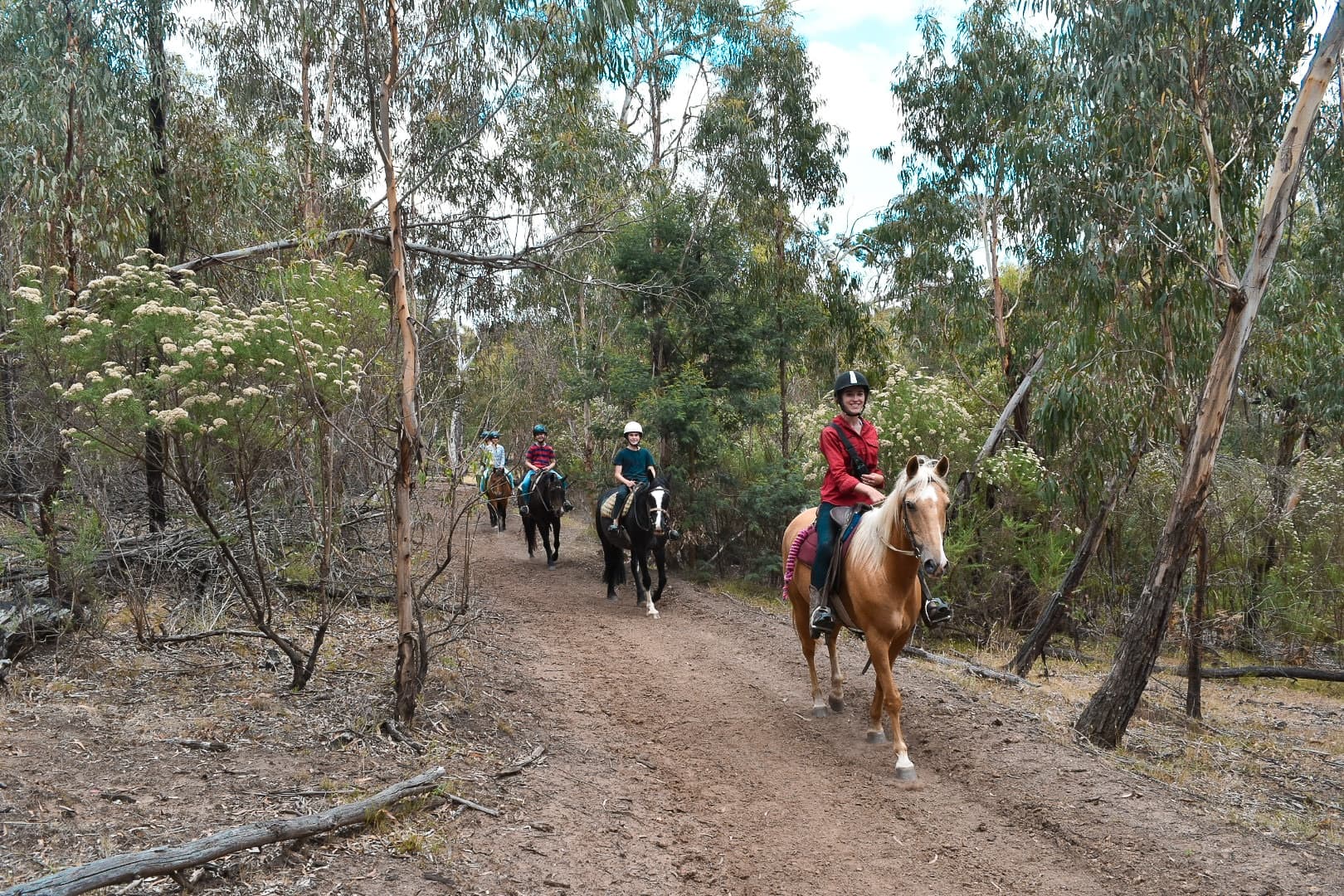 Discover the Thrill of Spring Creek’s 1.5 Hour Trail Ride near Torquay