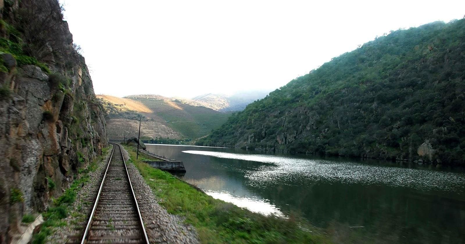 Douro River Cruise & Port Wine Tasting with Tomaz do Douro