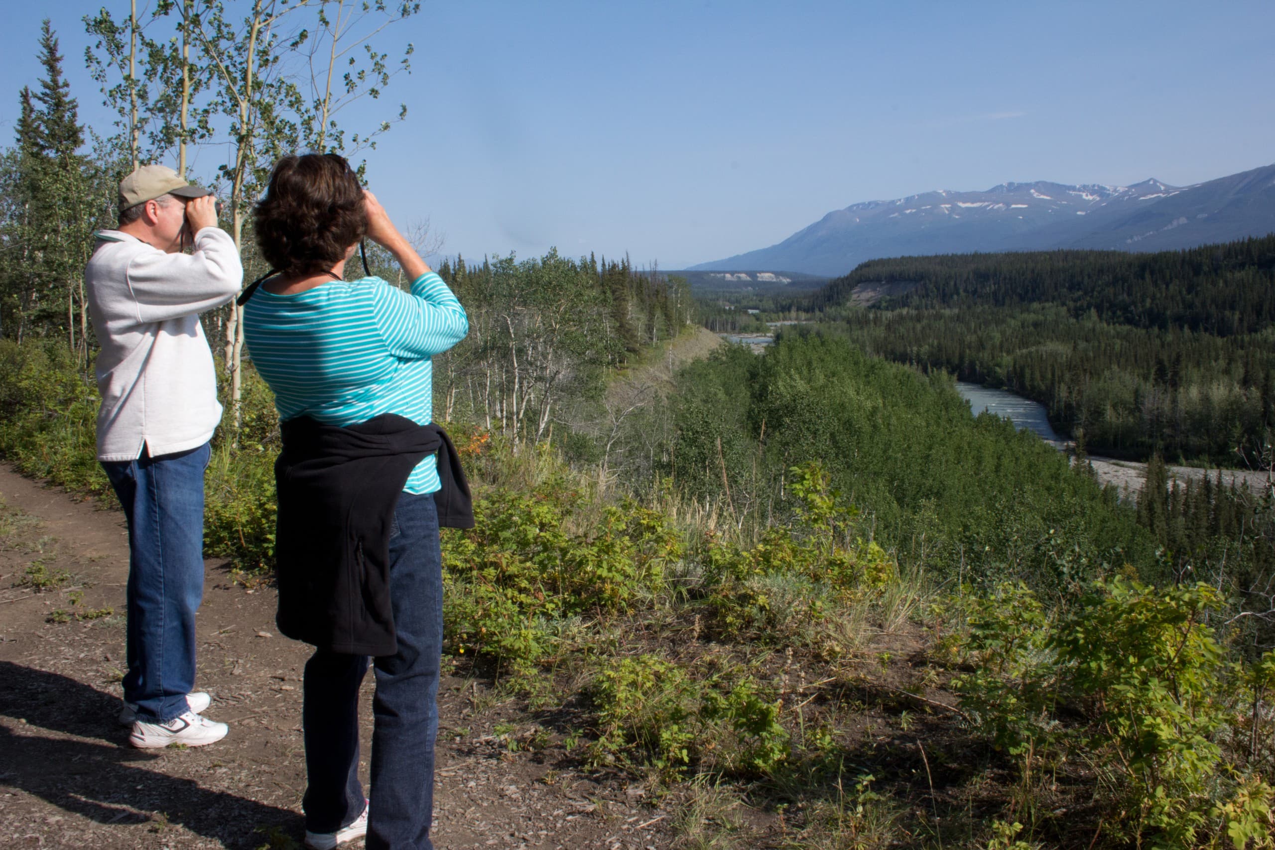 Copper Country Discovery Tour: Hands-On Wildlife & Volcano Views in the Copper River Valley