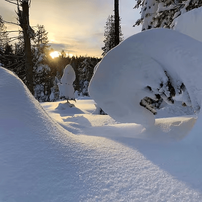 Snowshoe Yosemite: Moderate Discovery Hike from Badger Pass
