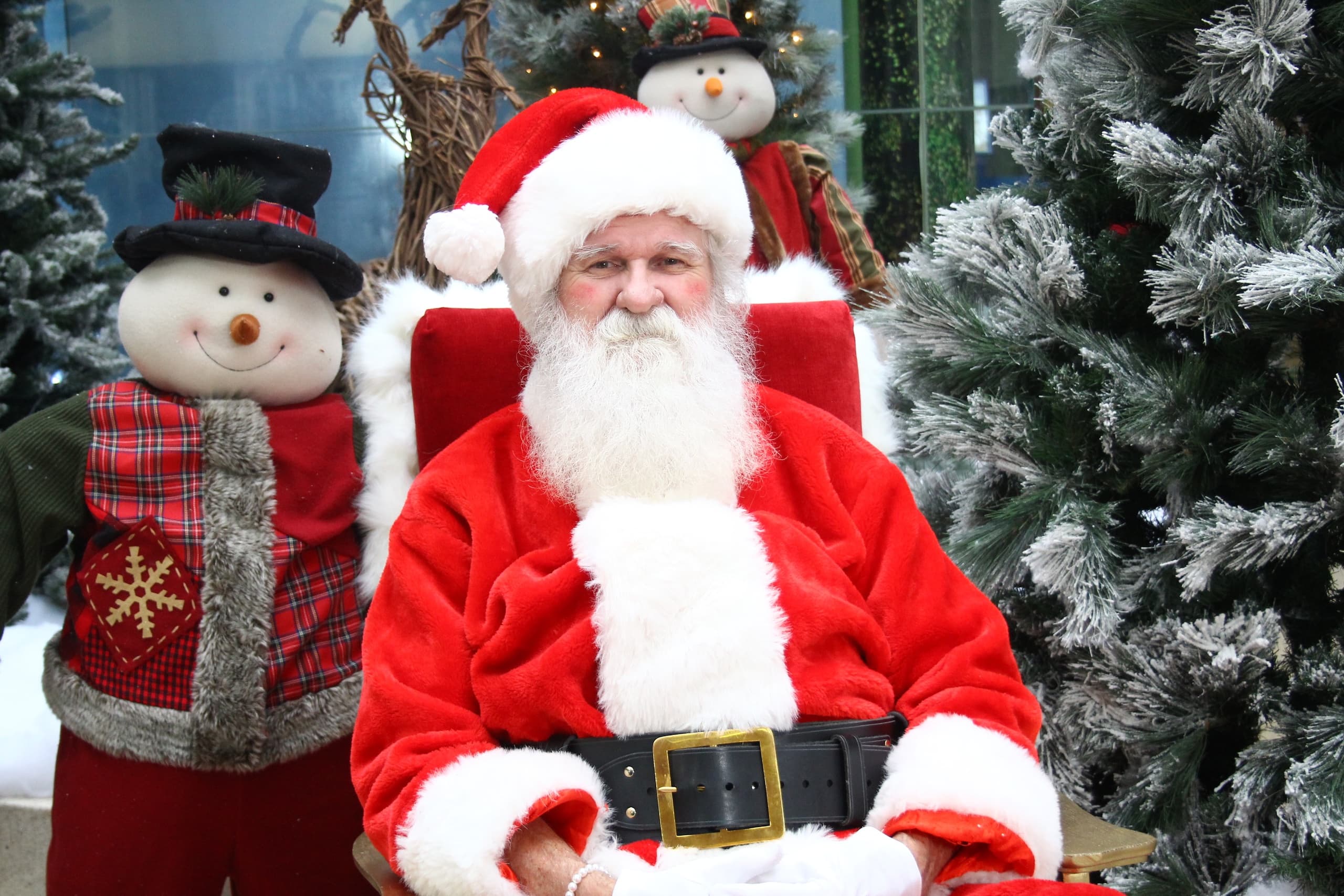 2-Hours Xmas in Toronto — JoJoFun Real-Beard Santa, Elf Assist & Sleigh Photo Set