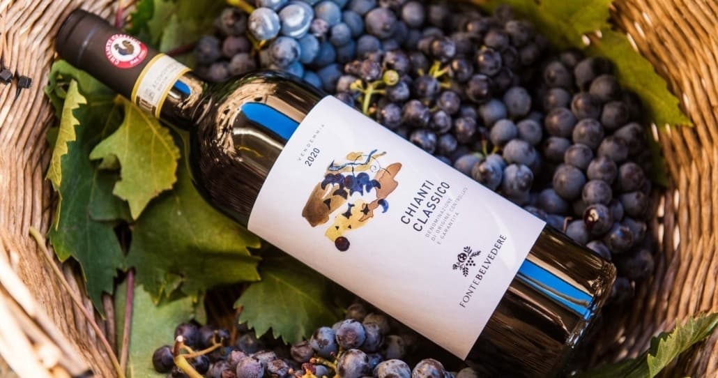 Sangiovese Lessons: Light Lunch tra Vigna e Degustazione in Ponte A Bozzone
