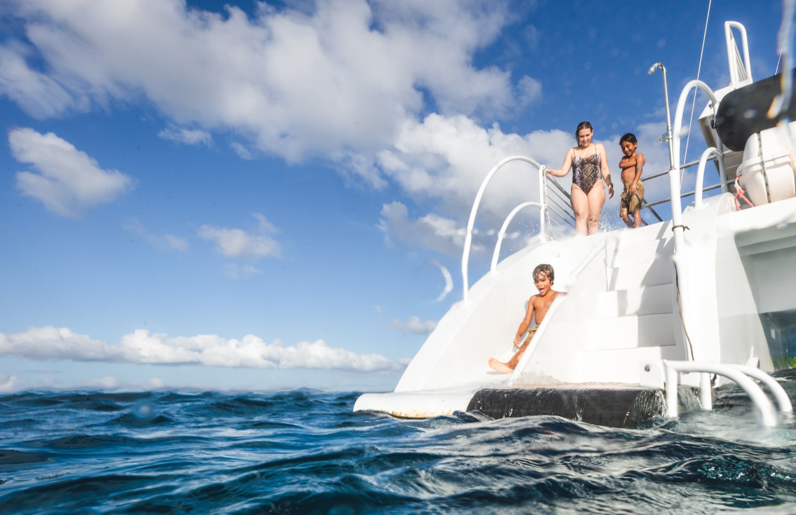 Snorkel with Green Sea Turtles from Maalaea Harbor — Turtles and Tacos Catamaran photo 3