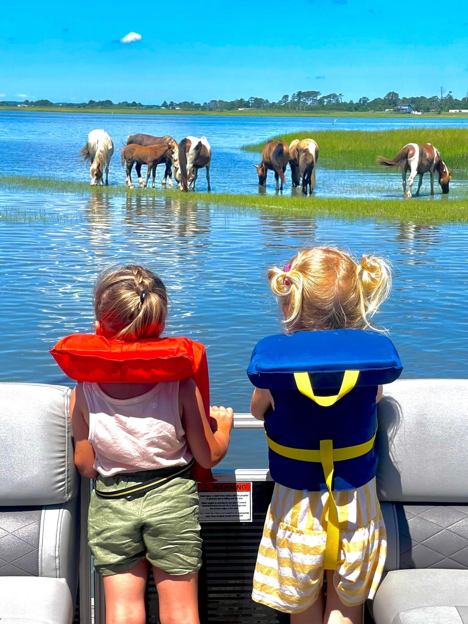 Water Activities: Pontoon Boat Tours at Snug Harbor Marina
