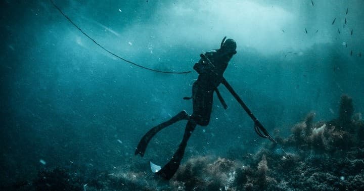 Coronado Islands Spearfishing Charter: Ultimate Underwater Adventure Off San Diego