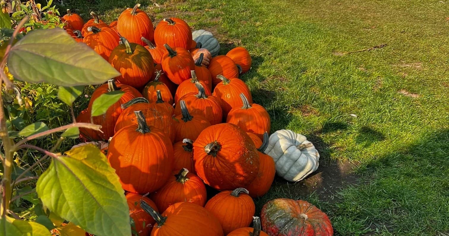Vaughn's Teaching Farm and Kitchen fleet