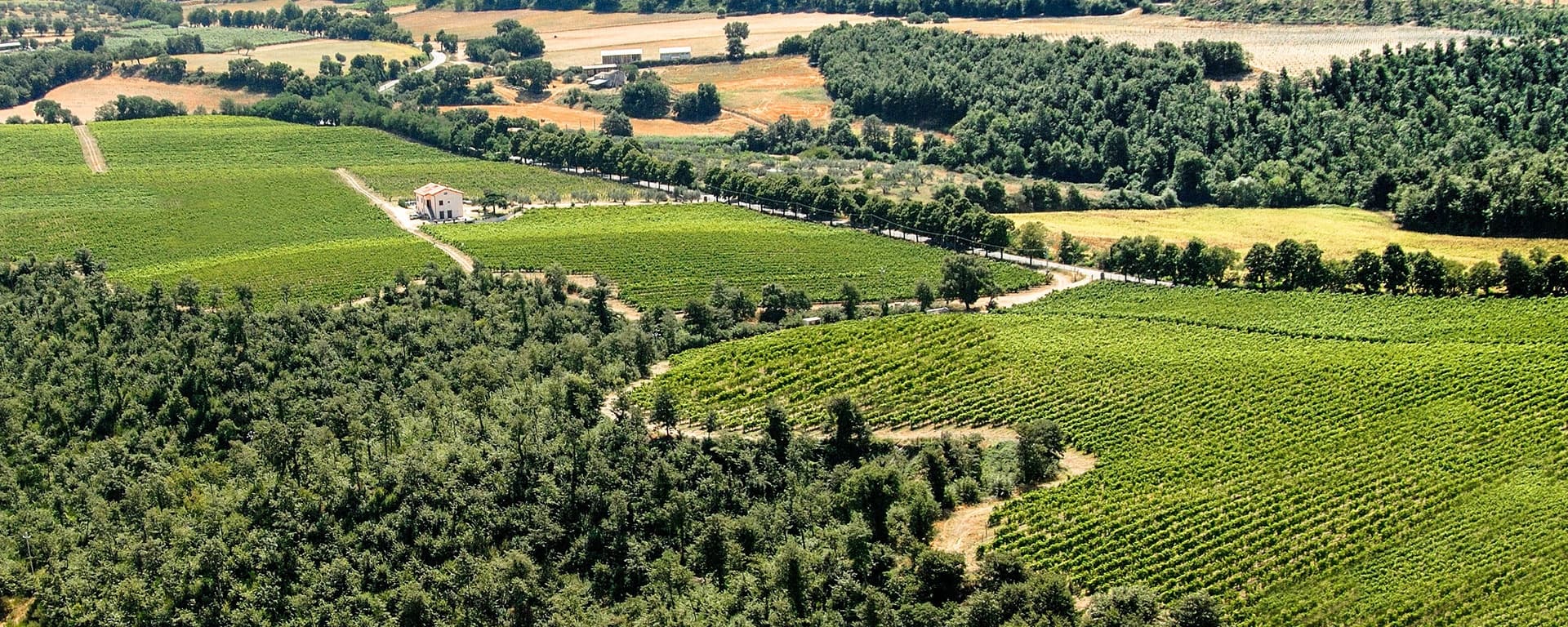 Alta Tuscia eBike Tour with Caprio 1906 in Lazio