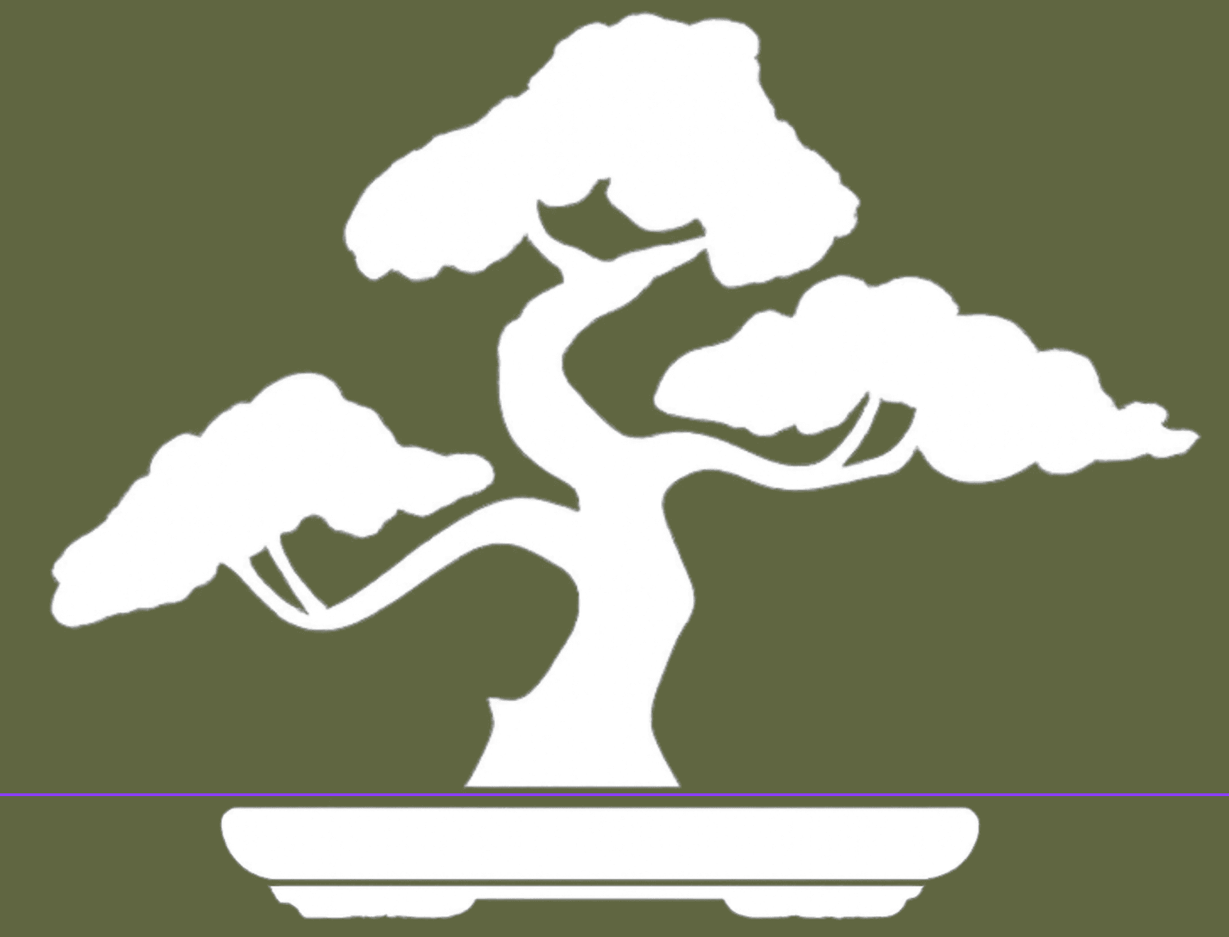 Tacoma Bonsai Workshop: Plant, Prune, and Take Home a Mini Tree in One Hour