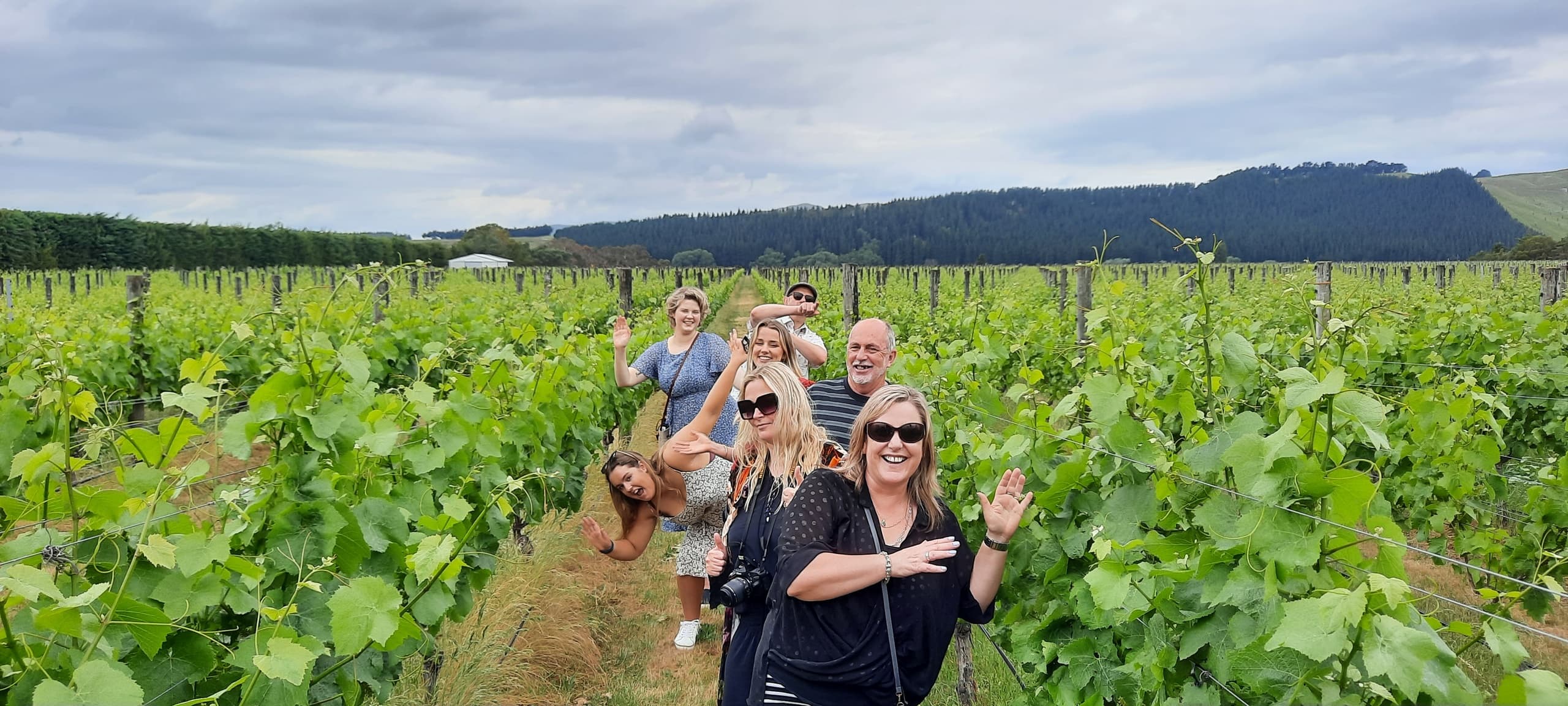 Discover Martinborough: A Premier Winery Tour from Wellington