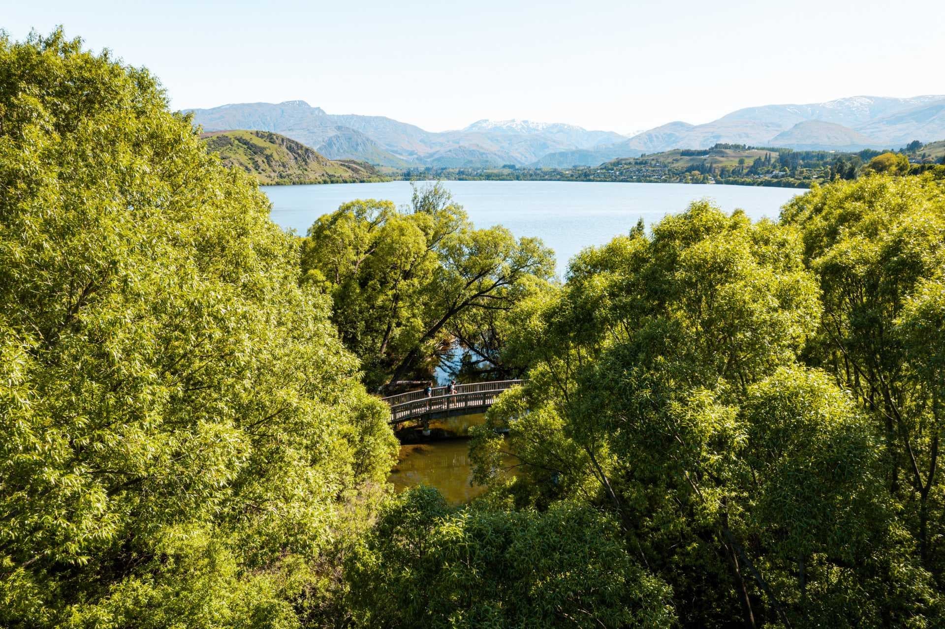 Cycling in Queenstown: Bike Hire & Shuttle from Arrowtown