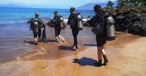 Wailea Beach Scuba Dive with Island Scuba & Surf School