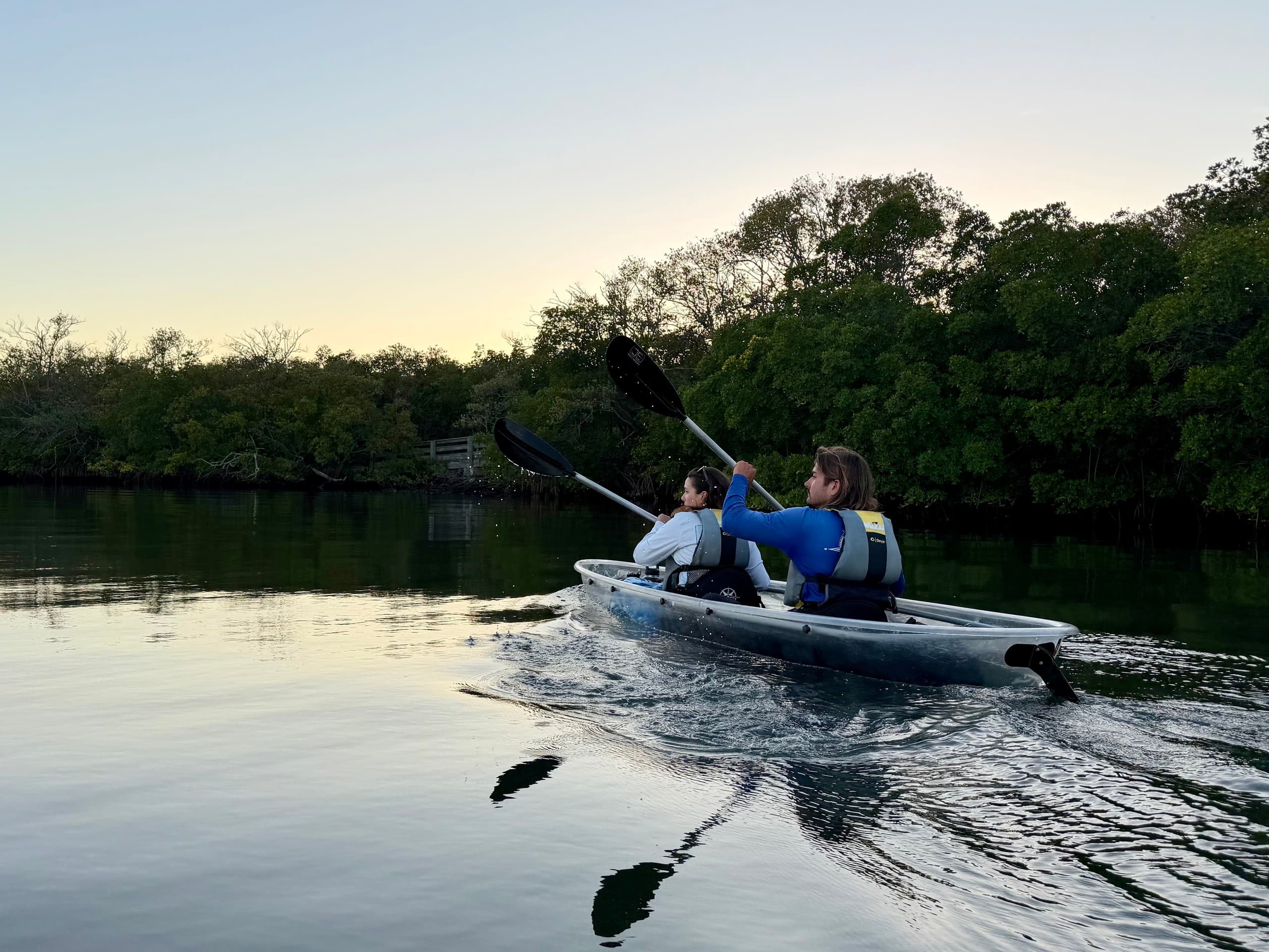 Sunset Clear-Kayak Through Cooper’s Bayou — Clearwater Mangrove Tunnel & Stingray Tour photo 3