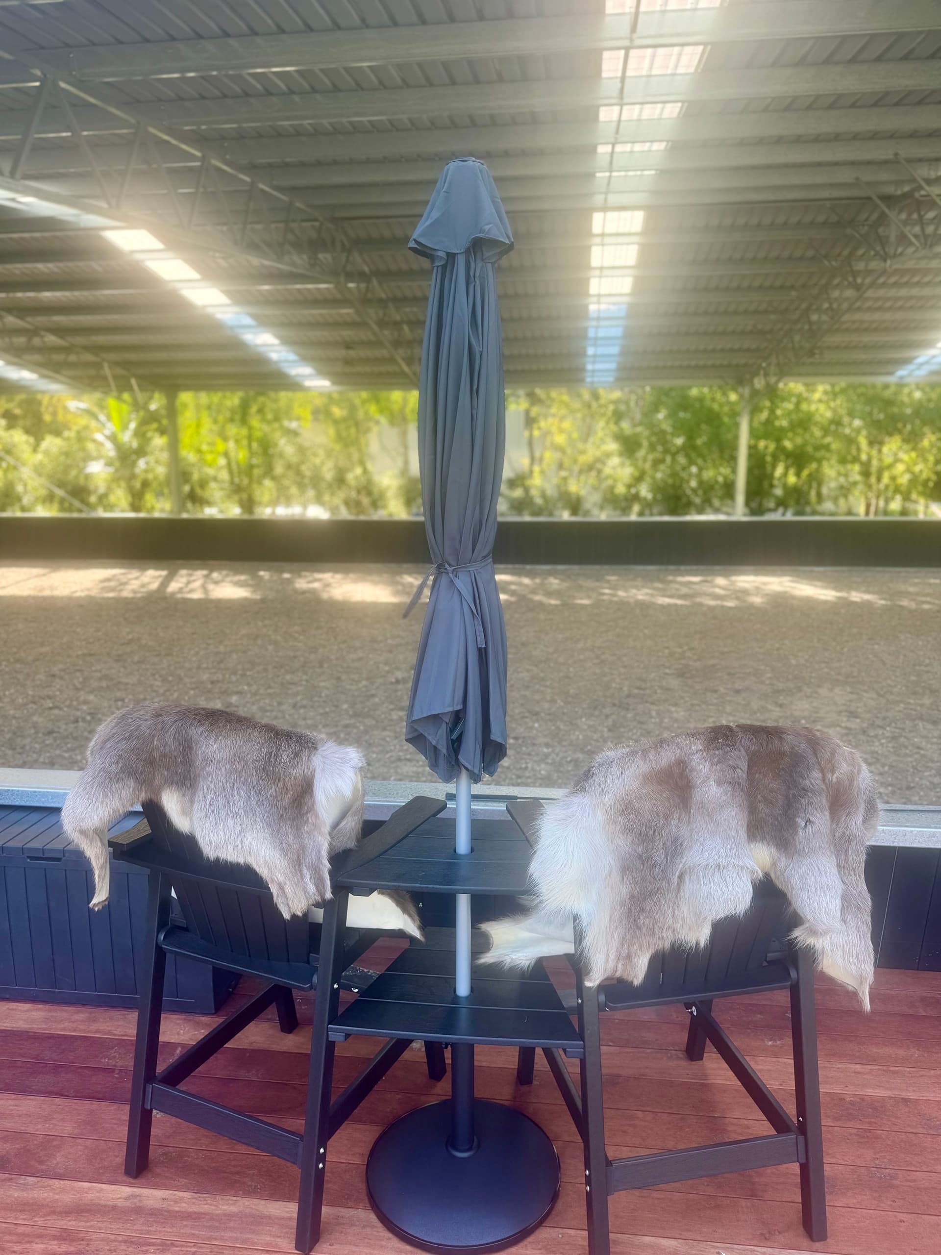 Bexland Indoor Dressage Arena Hire Near Noosa photo 3