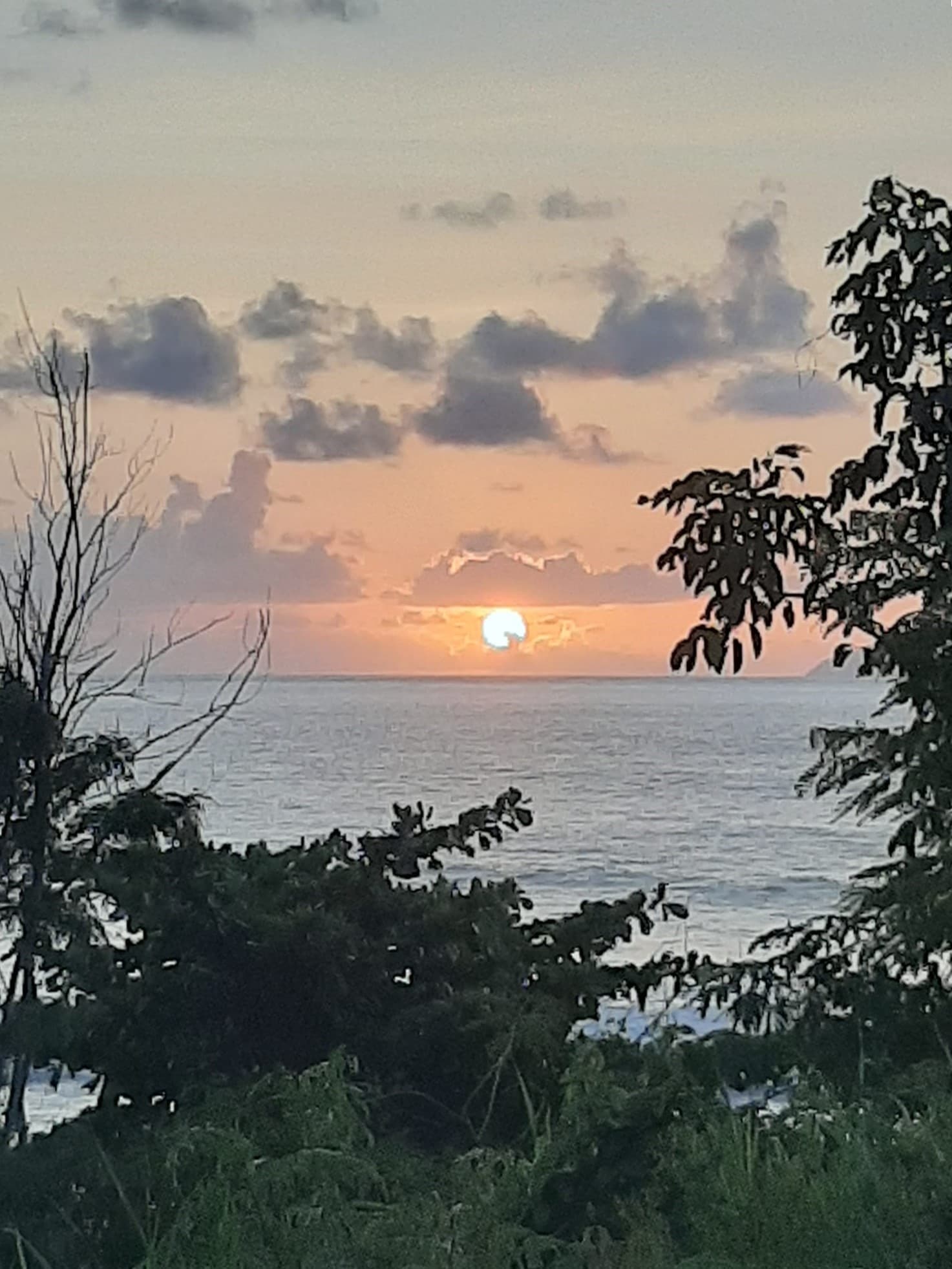 Sunset over Puerto Rico coastline with ocean vista and trees