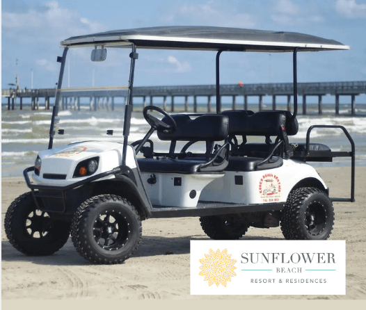 Six-Passenger Golf Cart Rentals in Port Aransas: Beach Cruises with Speakers photo 1