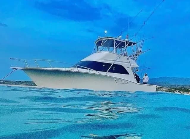 Bandito: 42ft Cabo Flybridge Sportfishing and Scenic Charters in Cabo San Lucas photo 1