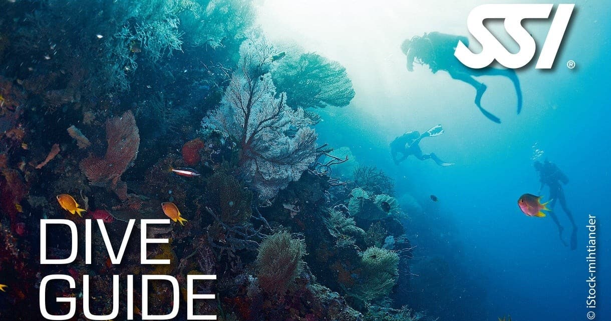 SSI Dive Guide Course by Tauchwerkstatt in Baalberge Bernburg