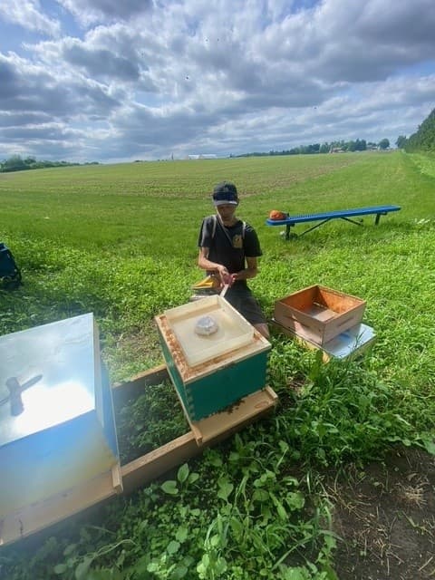 Inside the Hive: The Ultimate Honey Bee Encounter at Udderly Ridiculous Farm Life photo 4