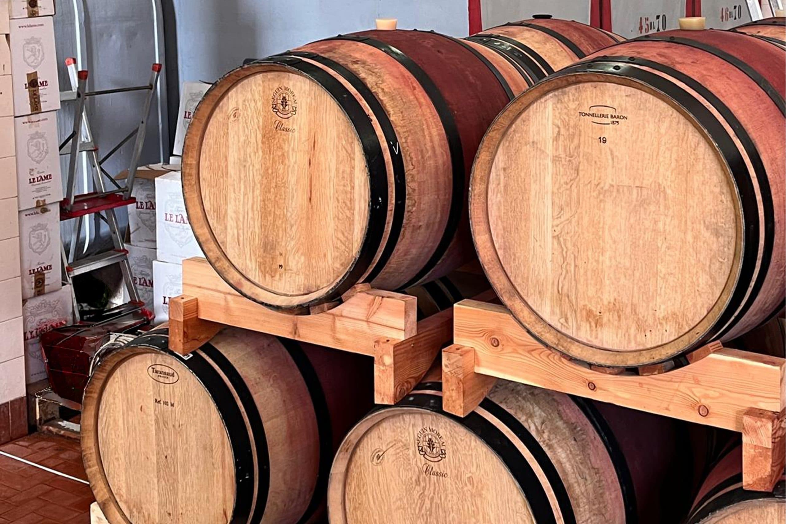 Chianti Winery & Brolio Castle Tour with City Florence Tours