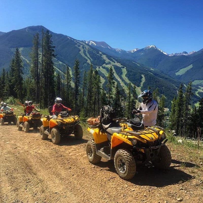 Taste of the Valley: One-Hour ATV & SXS Ride Above Panorama, BC photo 2