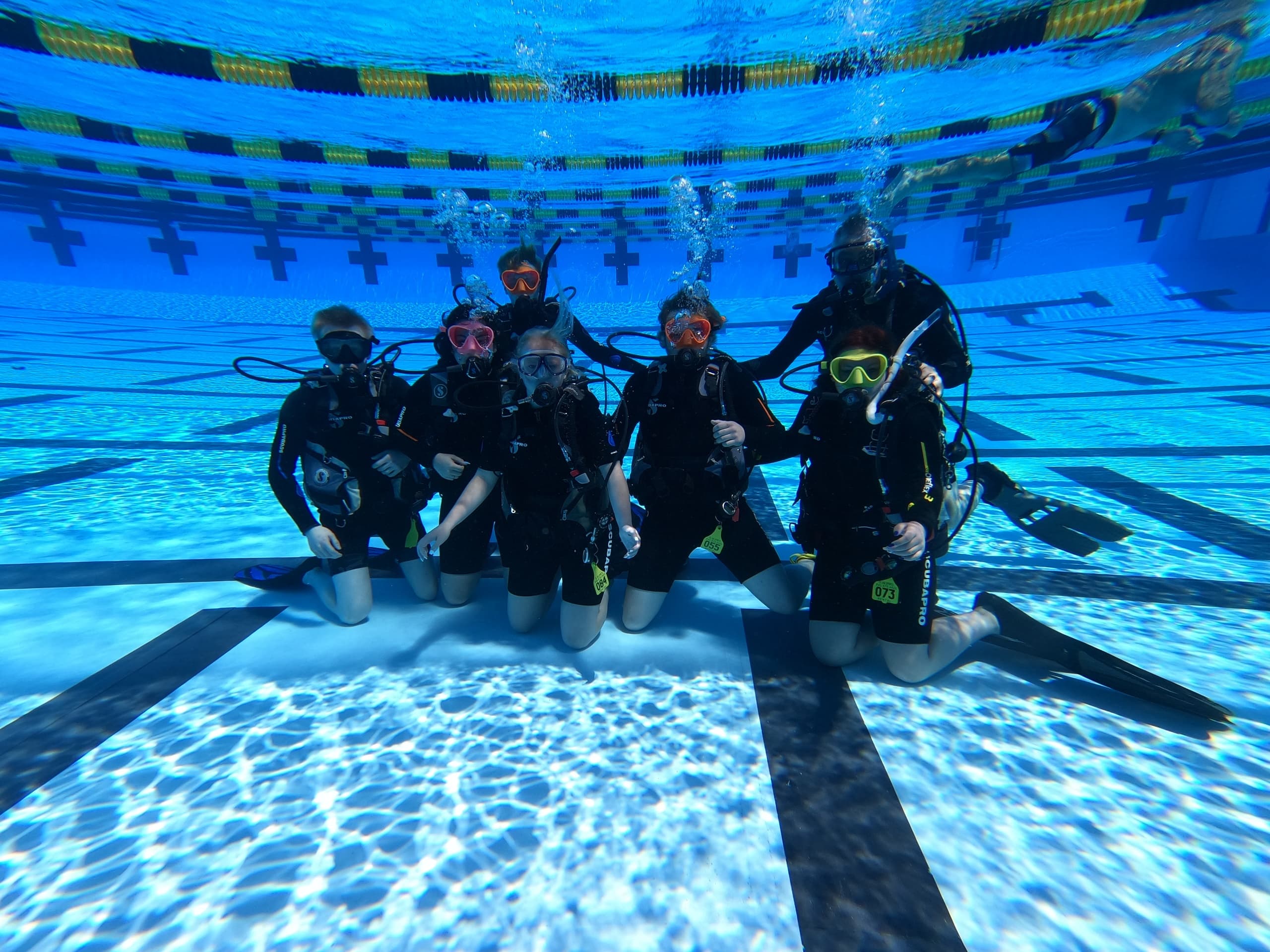 Open Water Diver Course in Sarasota, Florida