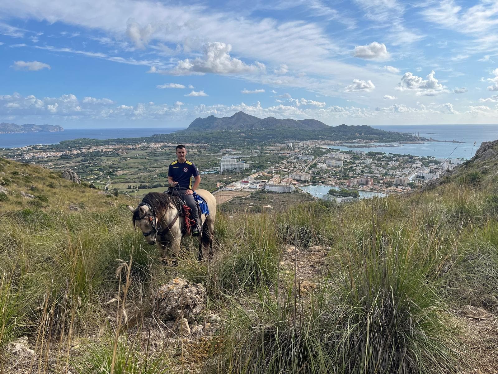 Horseback rider on coastal hillside overlooking sea vista