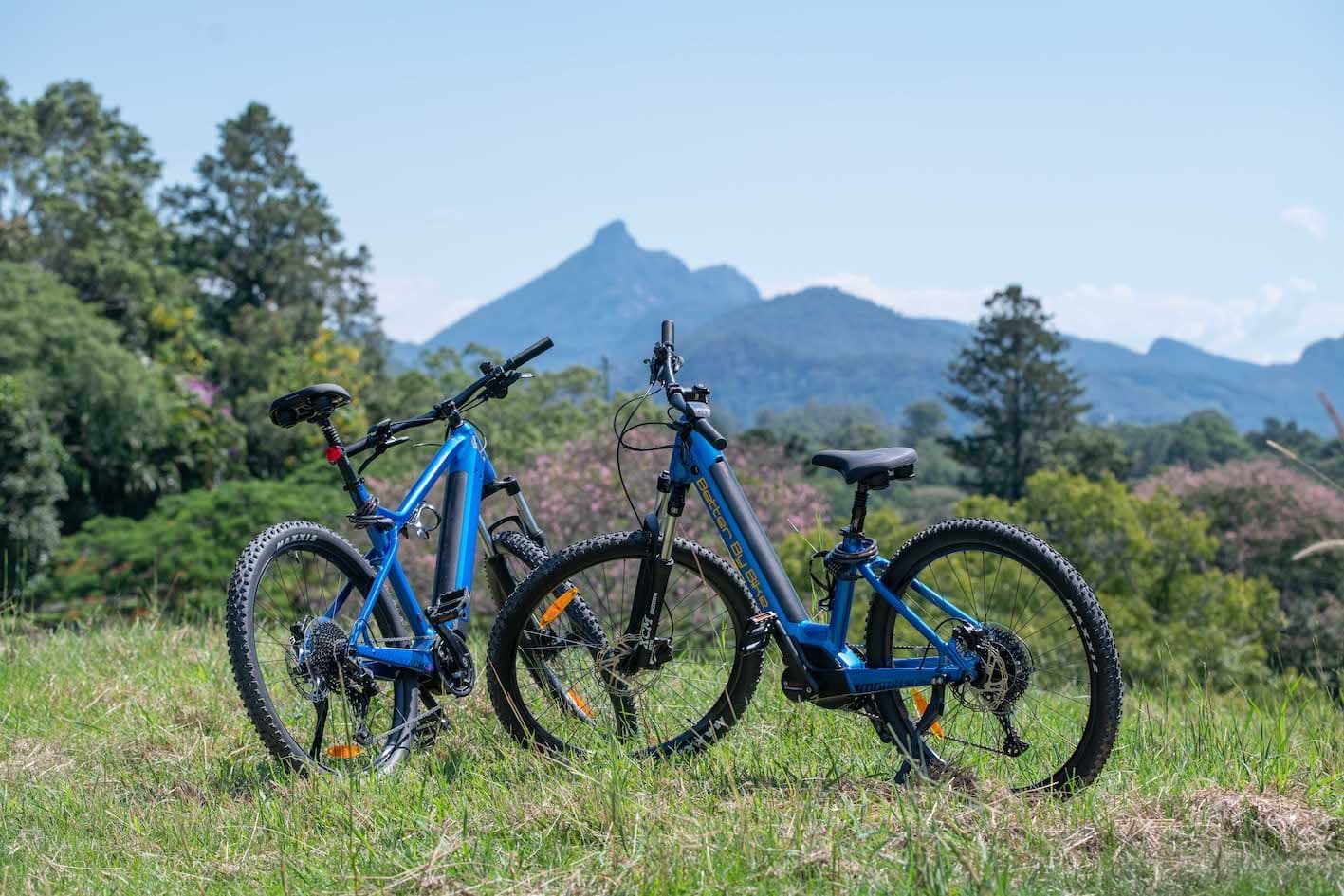 Two electric bikes framed by native trees and mountain view