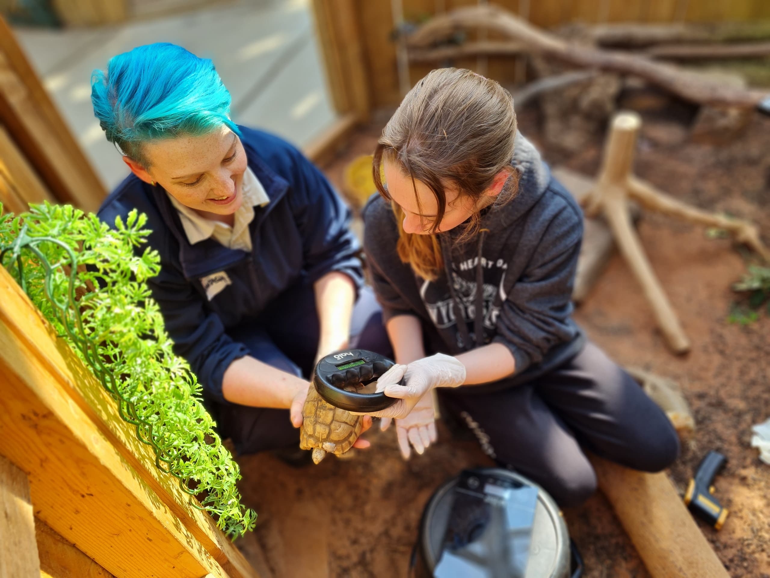 Staff and volunteer planting seedlings in interactive garden workshop