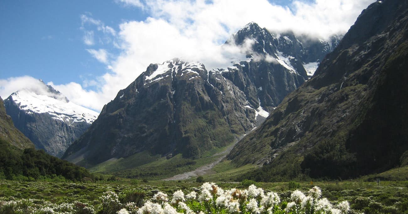 Alpine valley and snow-capped peaks near Milford Sound with wildflowers