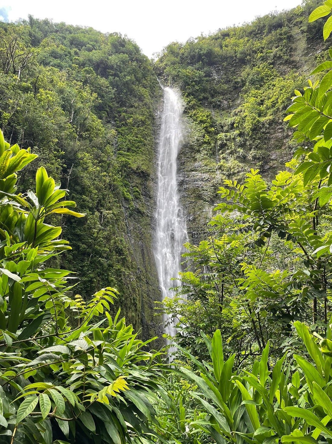 Explore Maui’s Road to Hana: A Private Full-Day Tour Through Waterfalls and Black Sand Beaches