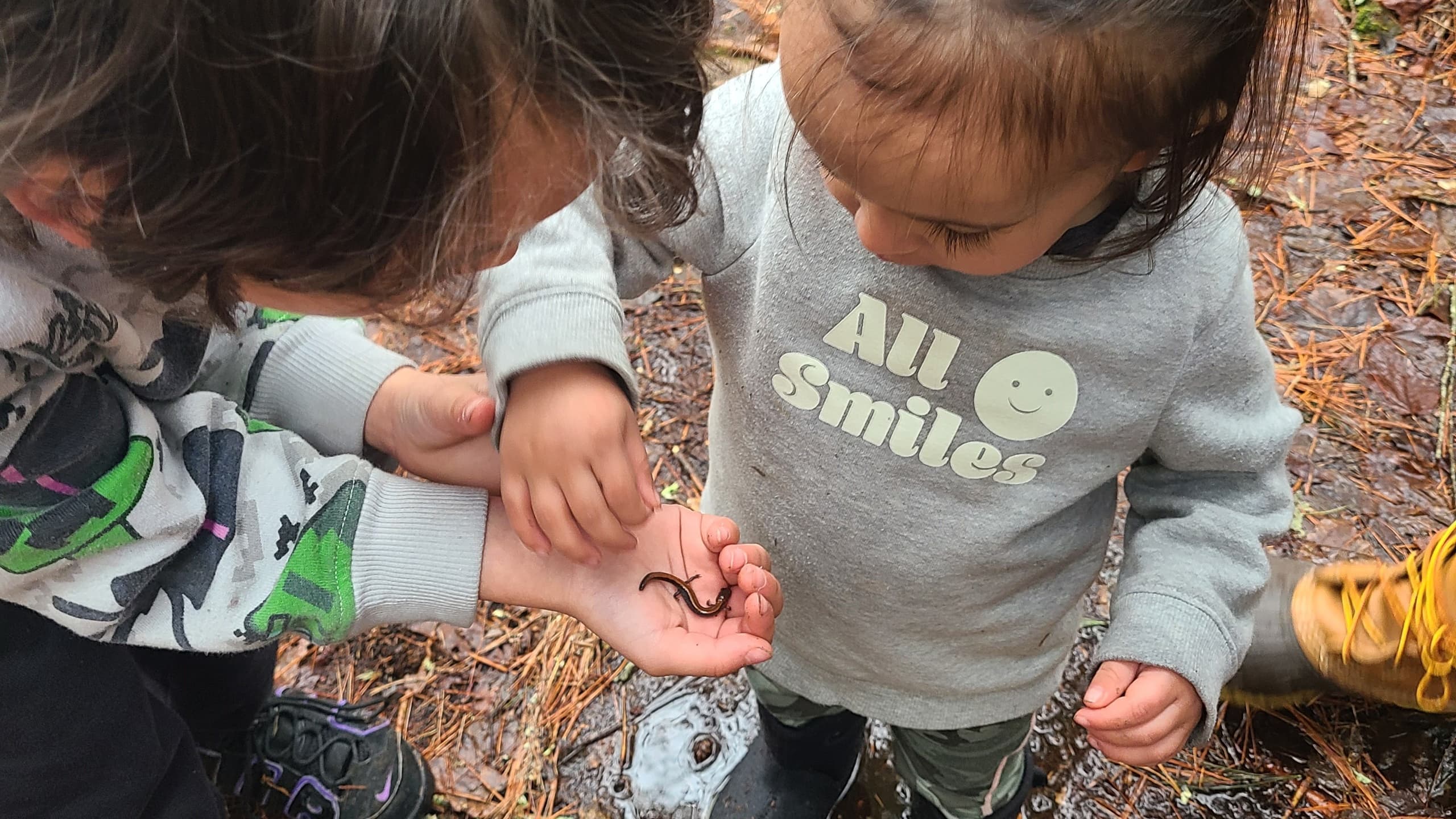 Wildlife & Nature Tour at Tinkhamtown Woodlands by Buzzards Bay Coalition