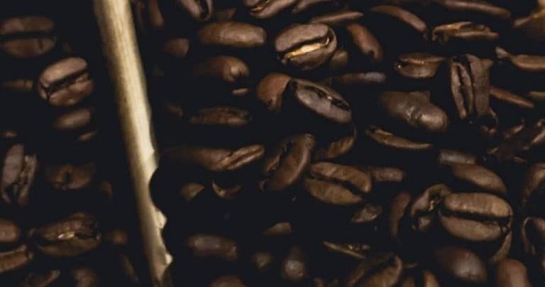 Close-up roasted coffee beans for cafe brewing texture