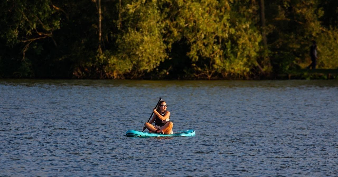 Guided Paddleboard Mangrove Tunnel Tour in Sarasota, FL