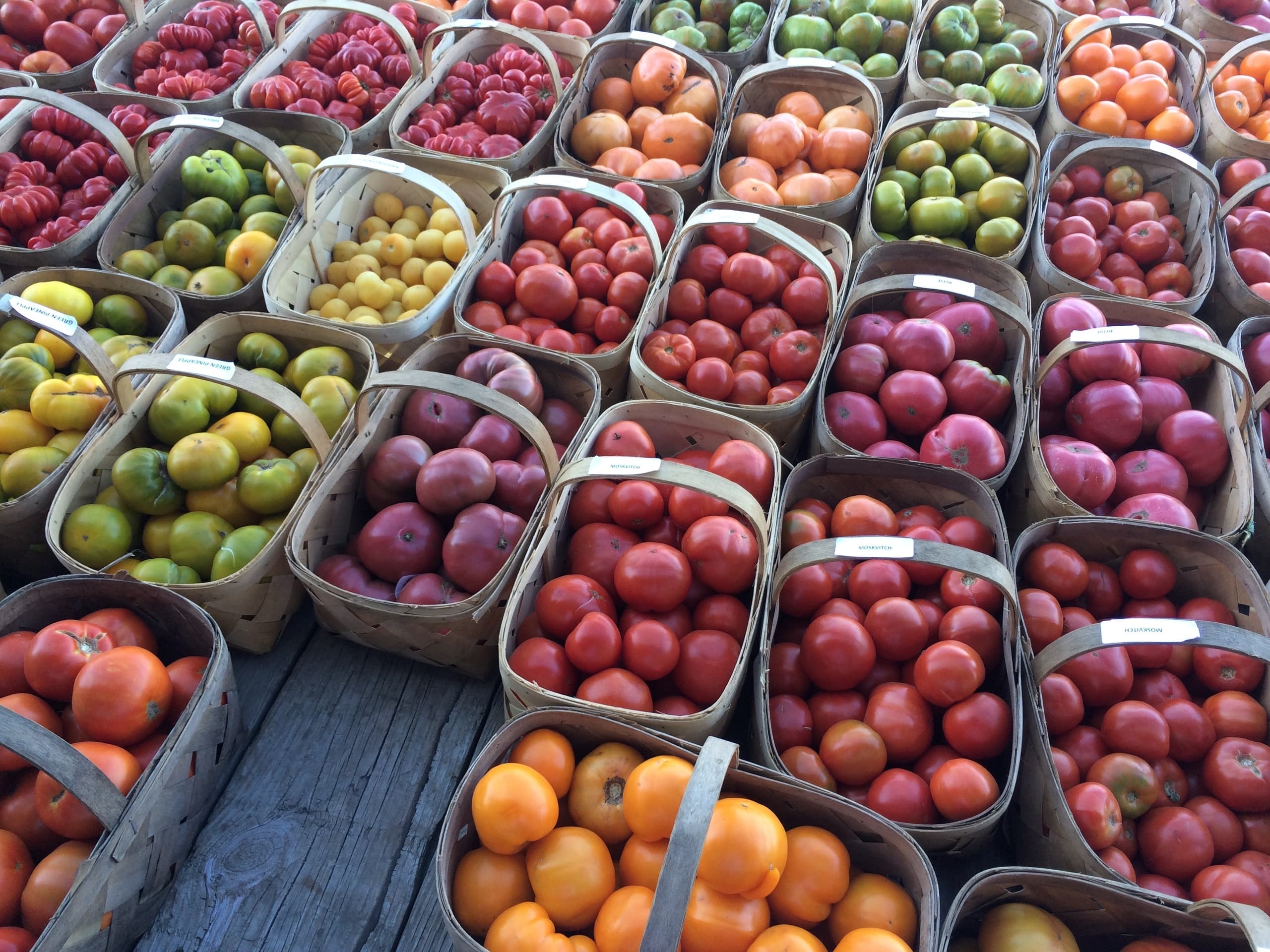 Farm-to-Table Dining at Verrill Farm: August 28th Event