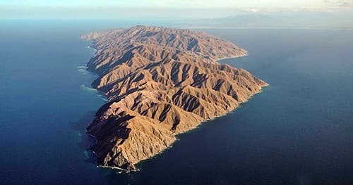 Ocean Safari at Jacques Cousteau Island with La Paz Divers