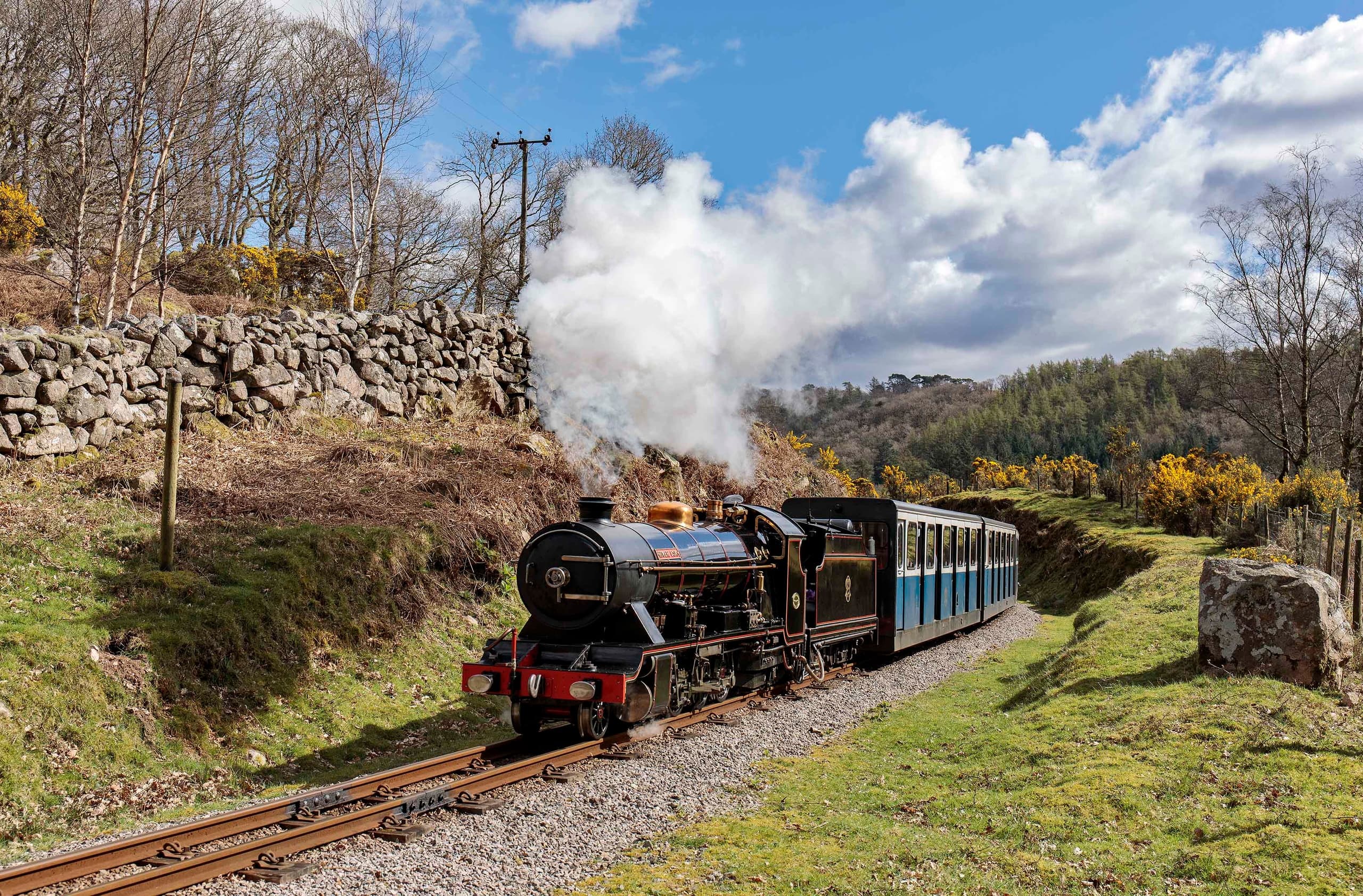 Steam train emerging by stone wall in Lake District countryside