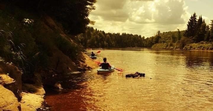 Kayakers paddling down golden forested river at warm sunset