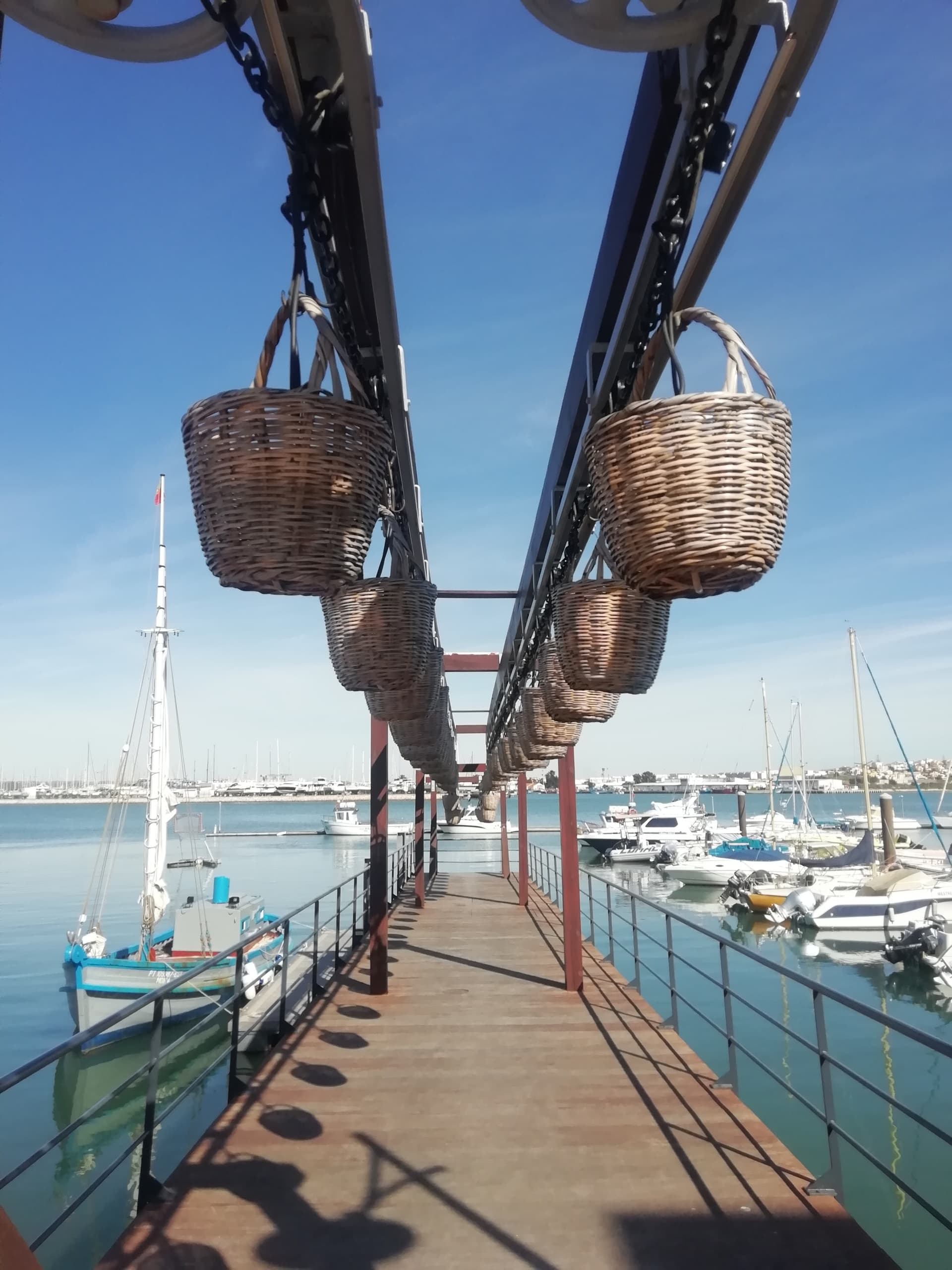 Tinned Sardine Route Adventure with Quimera Travel in Algarve