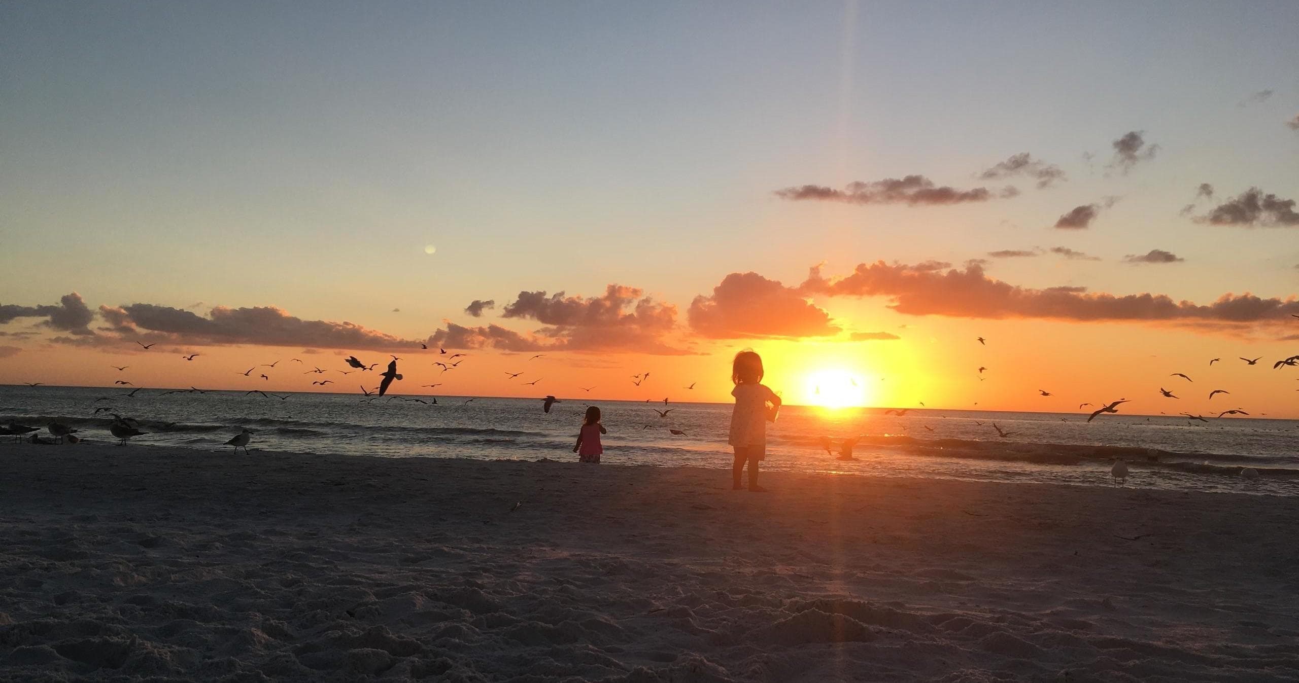 Sunset Eco-Tour in Goodland, Florida