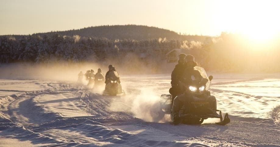 Winter Wildlife & Wilderness Snowmobile Tour with Wilderness Hotel - Nellim