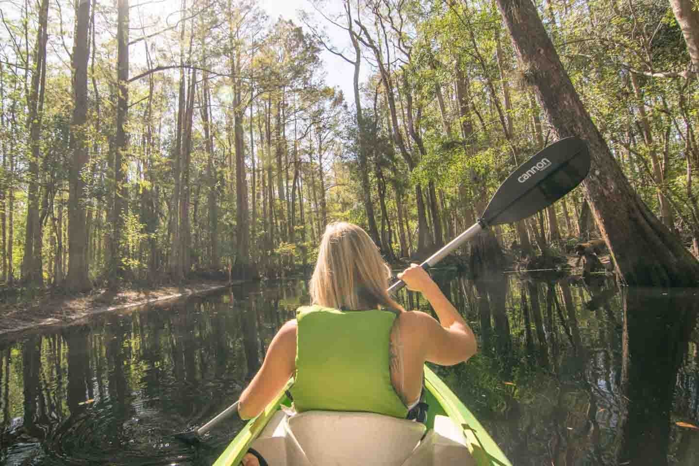 Solo kayaker paddling narrow mangrove creek in Florida wilderness